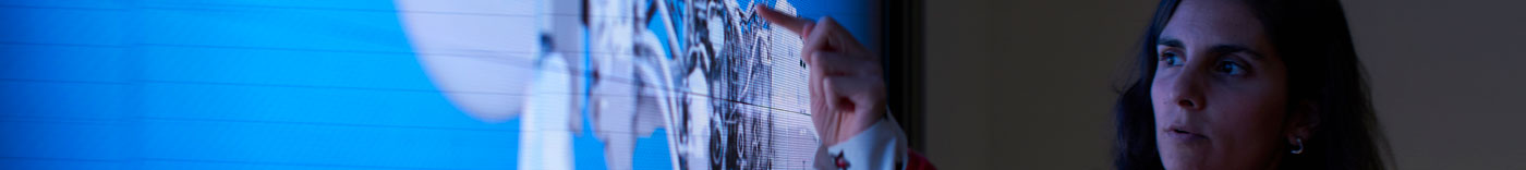 Bild zu Supply Chain Planner